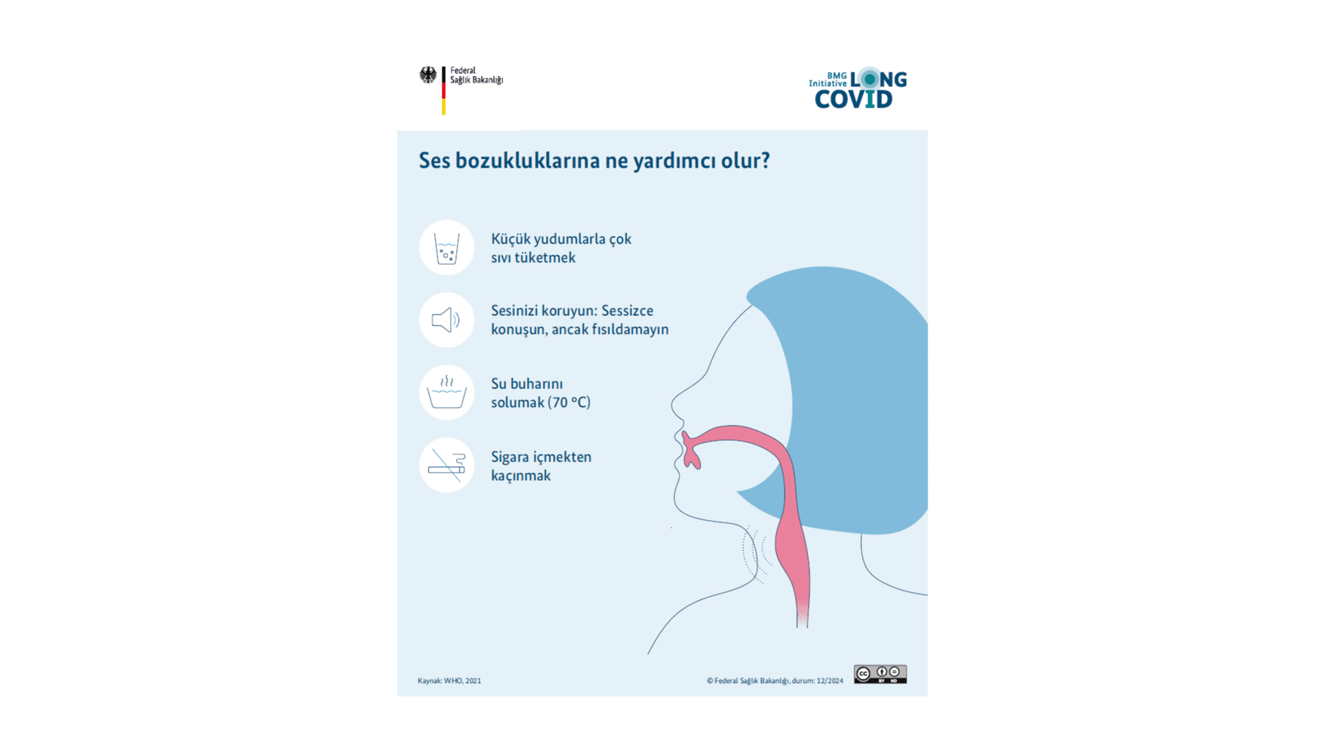 Grafik, ses bozukluklarına neyin yardımcı olduğunu açıklayan bir infografiği göstermektedir.