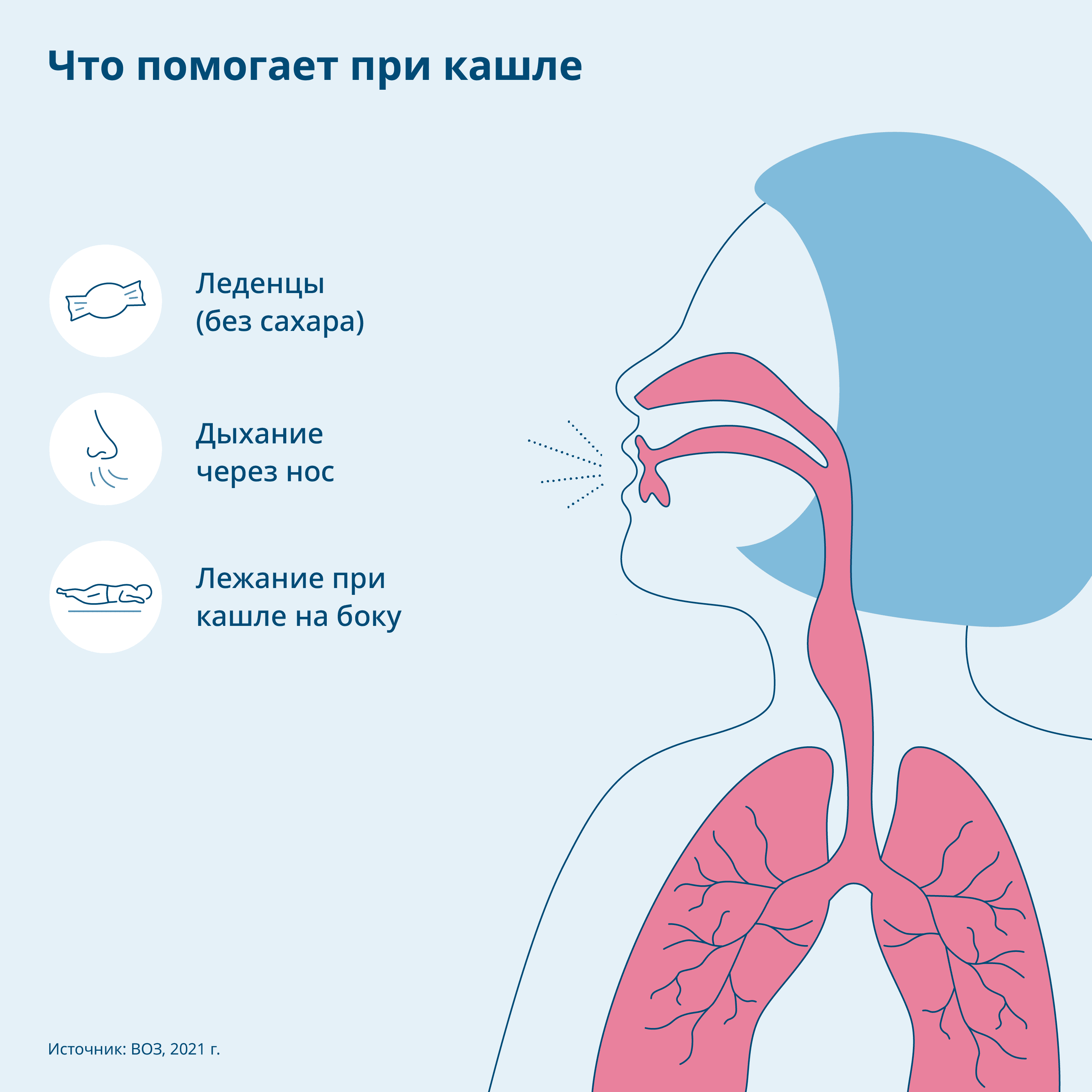 Графика: Советы по борьбе с кашлем, человеческое тело в разрезе с дыхательными путями