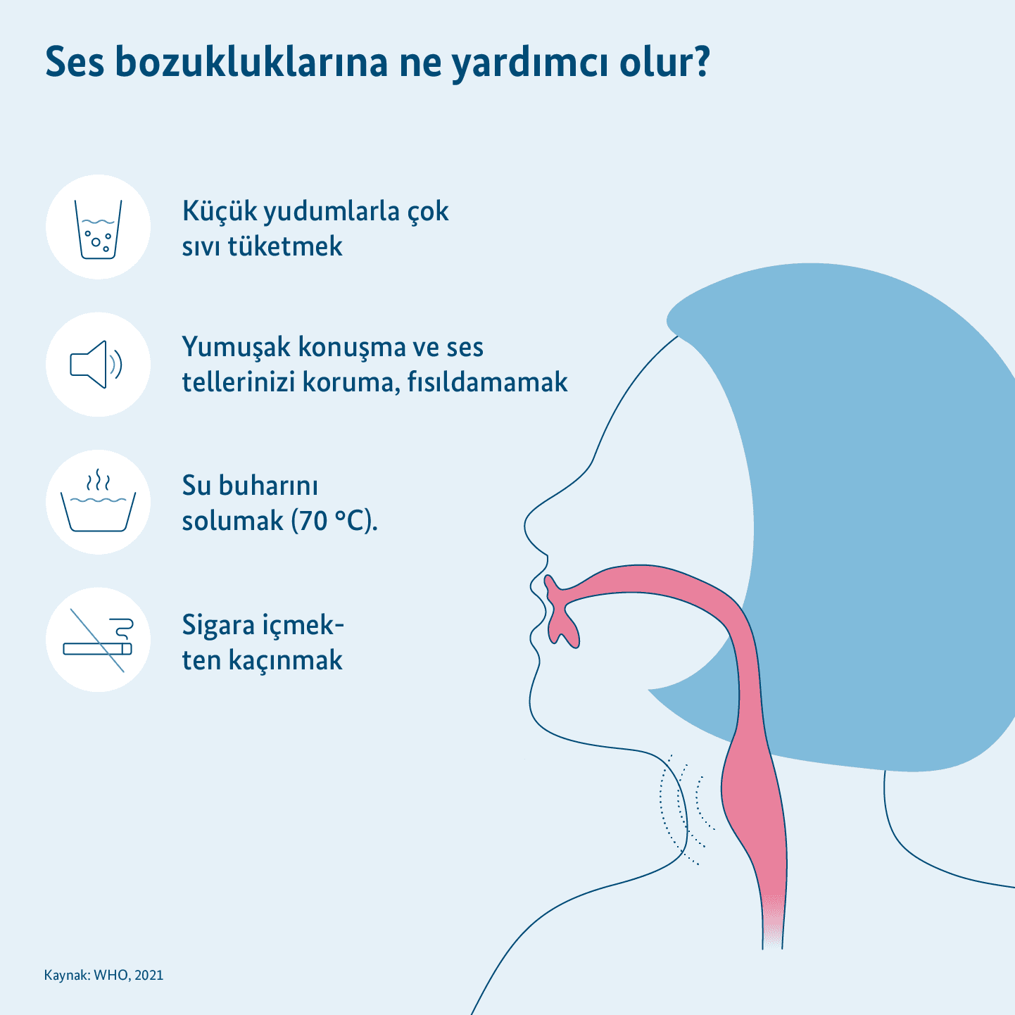 Grafik: Öksürükle başa çıkmak için ipuçları, solunum yollarıyla birlikte kesitte gösterilen insan vücudu