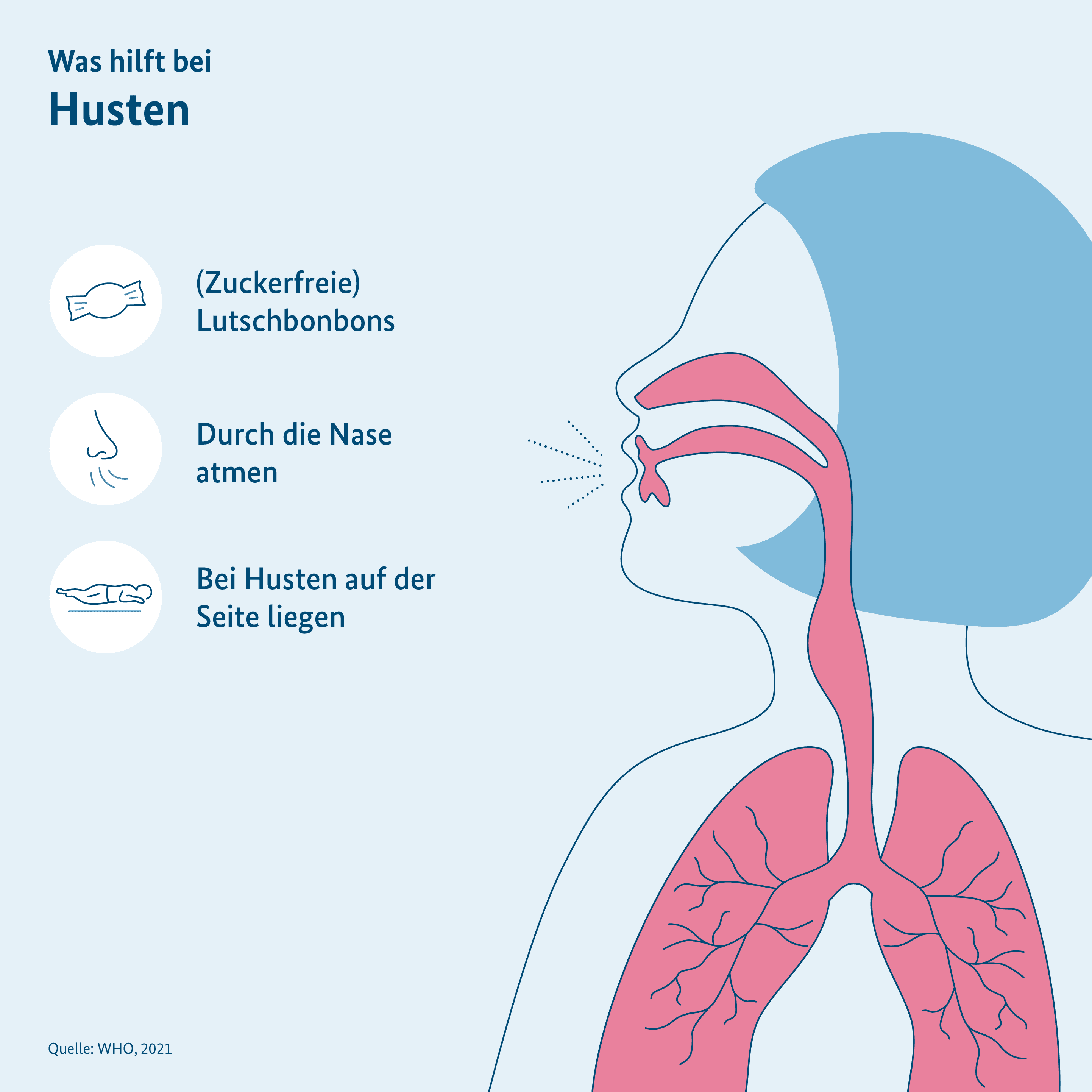Grafik: Tipps zum Umgang mit Husten, menschlicher Körper wird im Querschnitt mit Atemwegen gezeigt 